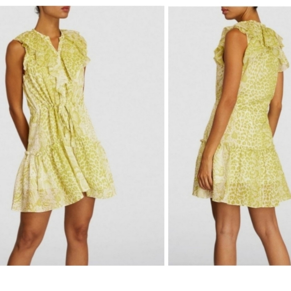 NWT-$245 AllSaints Ali Noche Print Ruffle Dress -10